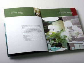 廣州專業(yè)畫冊(cè)設(shè)計(jì)與軟件開(kāi)發(fā) 品牌建設(shè)的雙翼